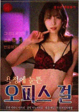 妖精的尾巴 2009年TV动画 封面